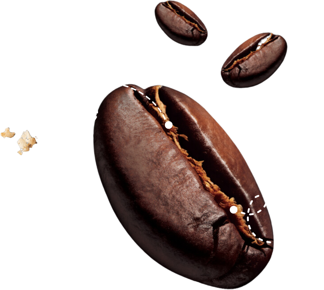 A roasted coffee bean with chaff visible in the center crease, and a loose flake of chaff beside it
